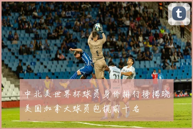 中北美世界杯球员身价排行榜揭晓美国加拿大球员包揽前十名